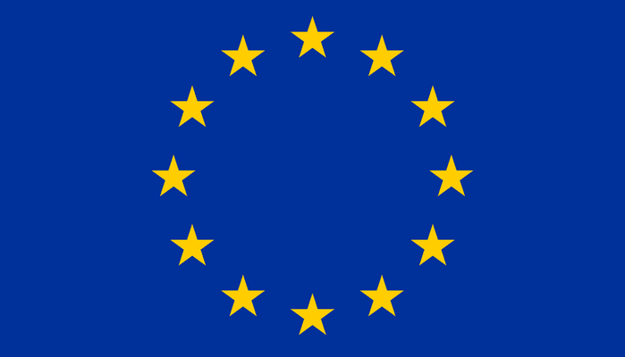 Der Einfluss der Vereinigung der Industrie- und Arbeitgeberverbände Europas (UNICE) auf den Entscheidungsprozess der Europäischen Union